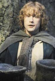 Pippin 6