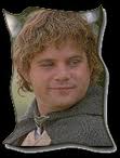 Sam 9