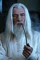 Gandalf bílý 2